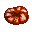 Big Dried Persimmon