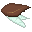 Bug's Shell