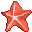 Great King Starfish