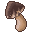 Choco Mushroom