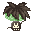Traveller's Hair