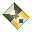 Kite  