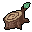 Growth Rings