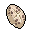 White Mushroom Shield