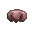 Dog's Nose