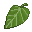 Green Leaf